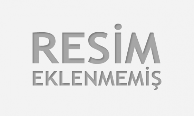 Karesi Asansörlü Nakliyat: Balıkesir'de Güvenilir ve Pr
